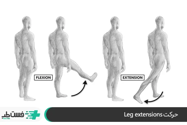 حرکت Leg extensions یا جلو پا|فست طب