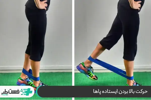 ورزش بالا بردن ایستاده پاها به عقب با کش بهترین ورزش برای تقویت زانو آسیب دیده|فست طب