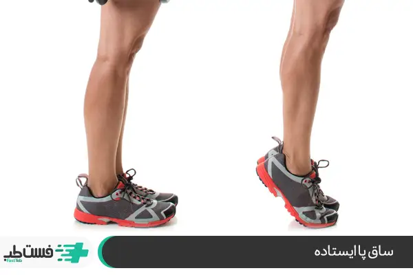 تمرین ساق پا ایستاده بریا تقویت عضلات و مفاصل|فست طب