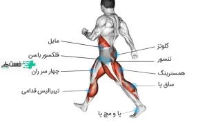 راه رفتن برای دیسک کمر خوب است یا نه؟|فست طب